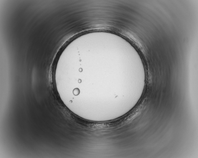 X0000093450883200711091510