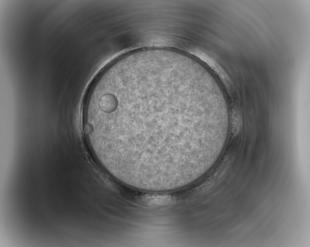 X0000093450886200711091510