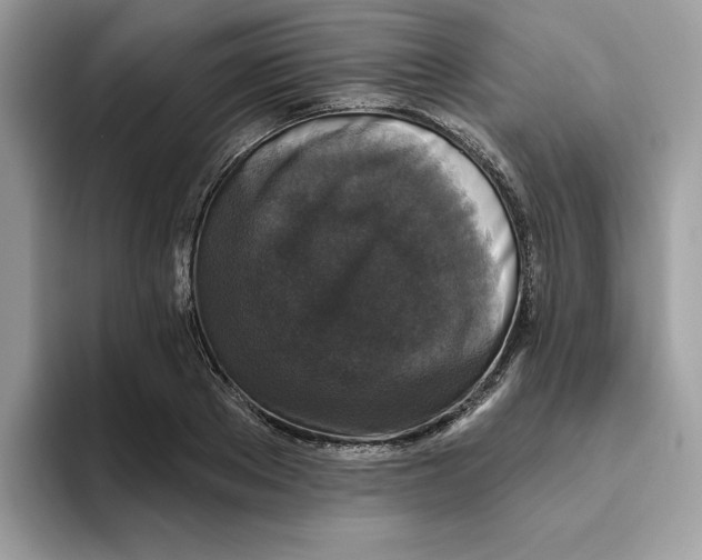 X0000093450889200711091510