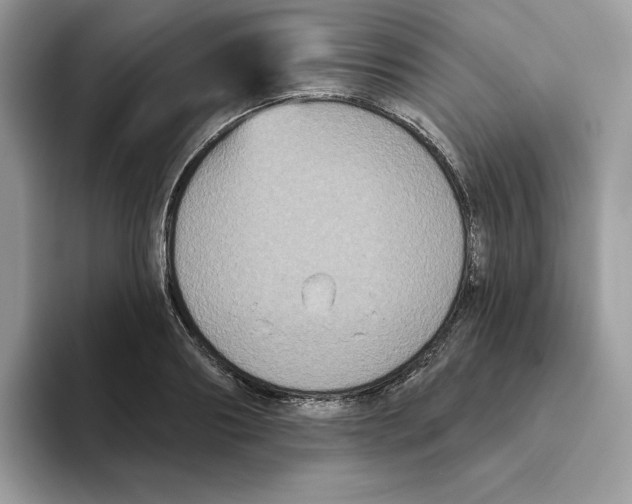 X0000093450890200711091510