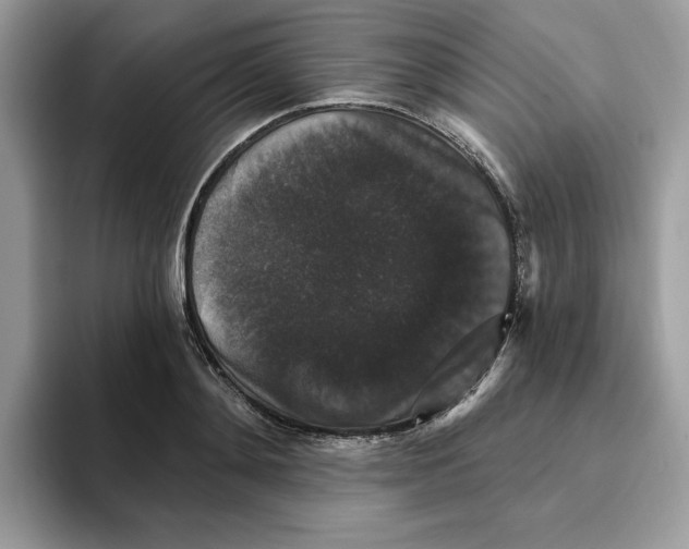 X0000093450892200711091510