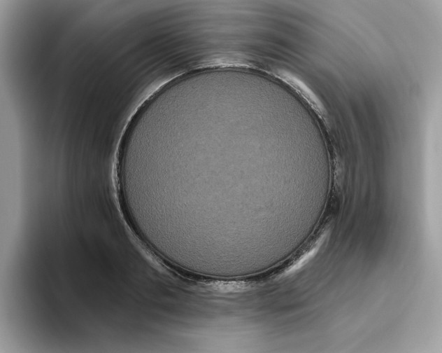 X0000093450893200711091510