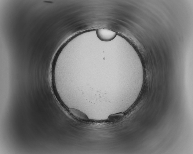 X0000093450894200711091510