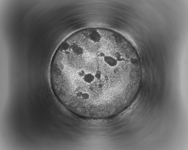 X0000093450895200711091510