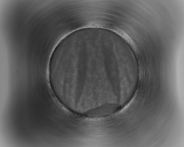 X0000093450896200711091510