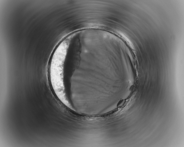 X0000093450899200711091510