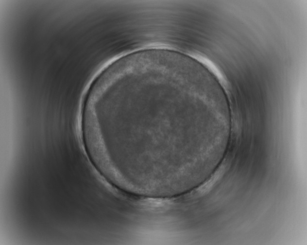 X0000093450910200711091510