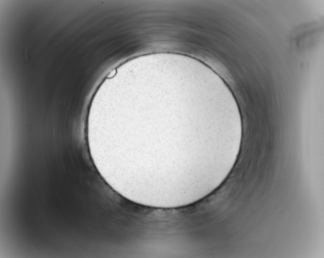 X0000093450912200711091510