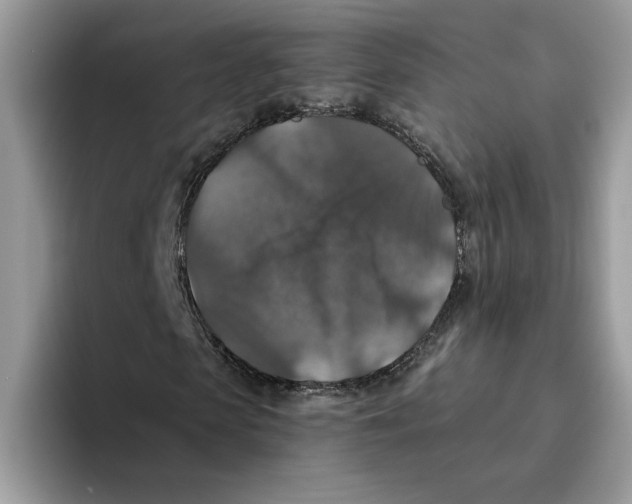 X0000093450913200711091509