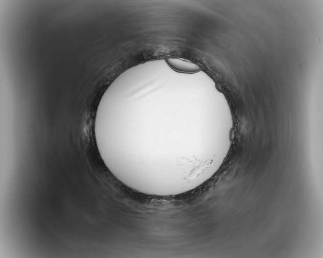 X0000093450914200711091509