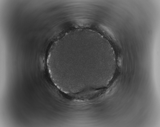 X0000093450915200711091509