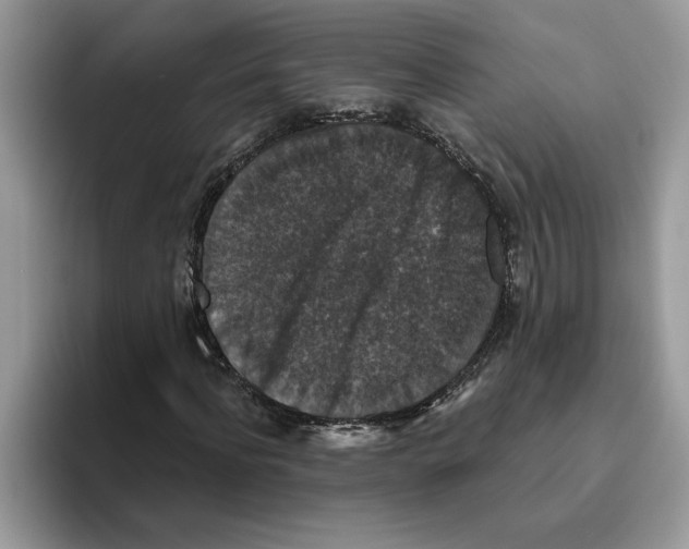 X0000093450916200711091509