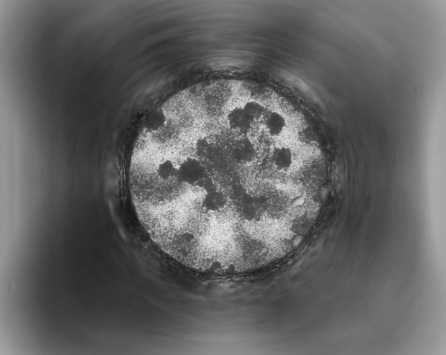 X0000093450917200711091509