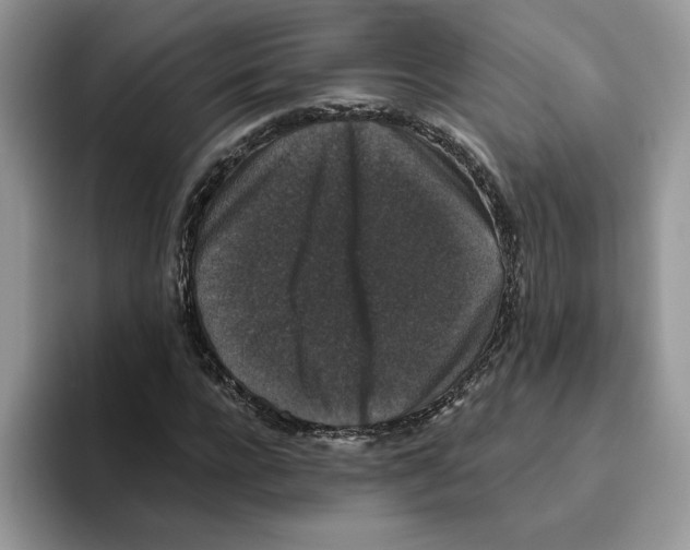 X0000093450920200711091509