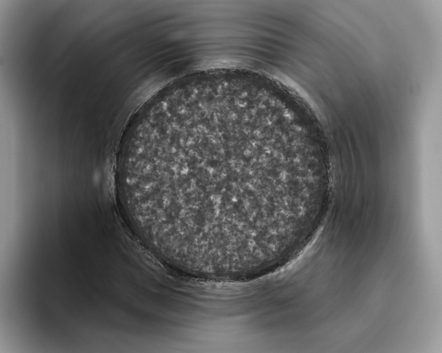 X0000093450921200711091509