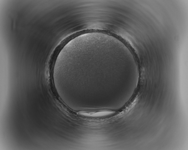 X0000093450923200711091509