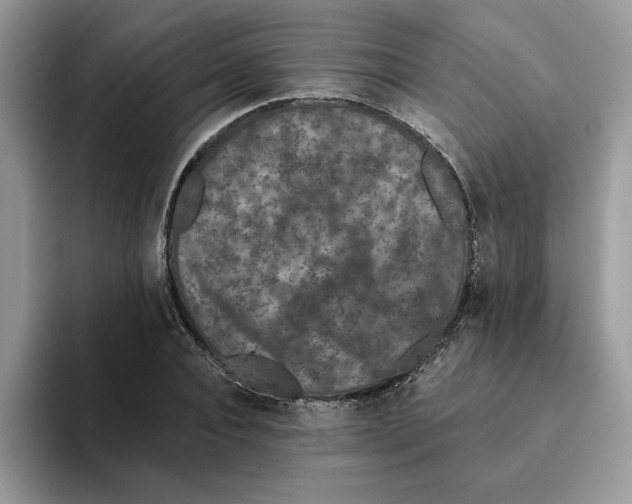 X0000093450928200711091510