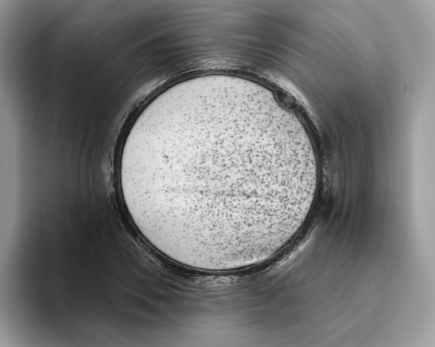 X0000093450930200711091510