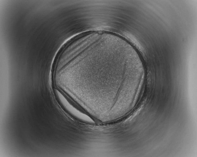 X0000093450932200711091510