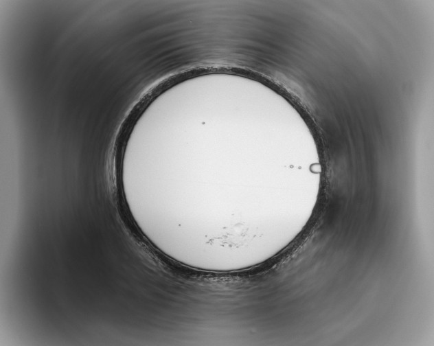 X0000093450934200711091510