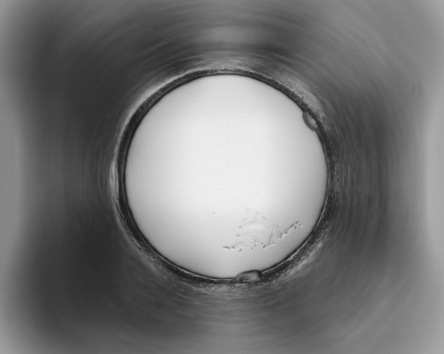 X0000093450936200711091510