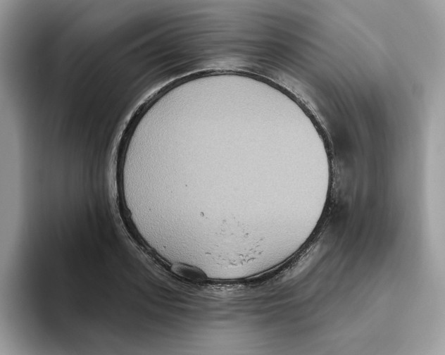 X0000093450939200711091510