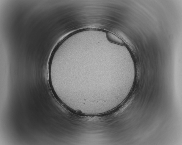 X0000093450940200711091510