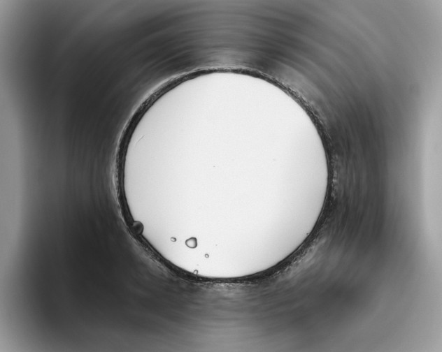 X0000093450942200711091510