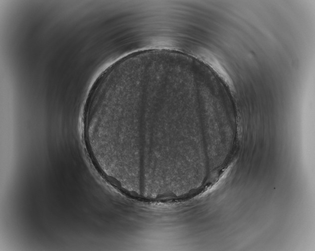 X0000093450944200711091510