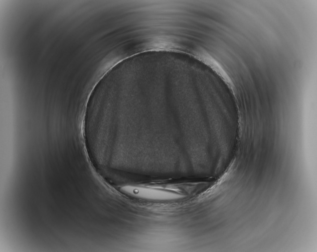 X0000093450946200711091510