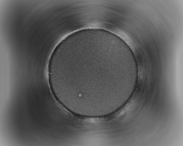 X0000093450950200711091510