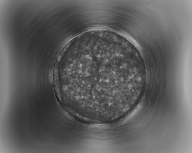 X0000093450953200711091510