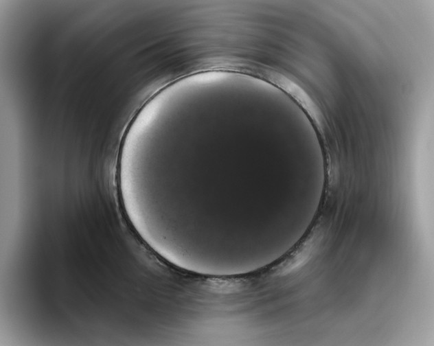 X0000093450954200711091510