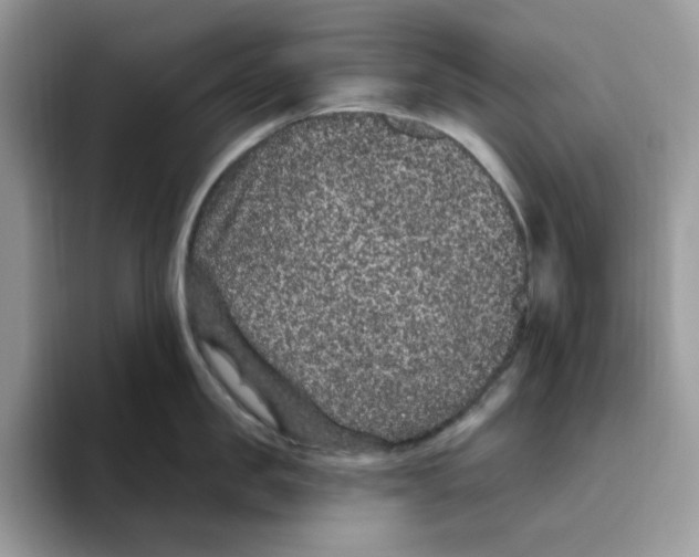 X0000093450957200711091510