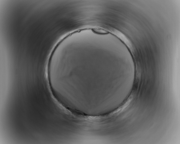 X0000093450958200711091510