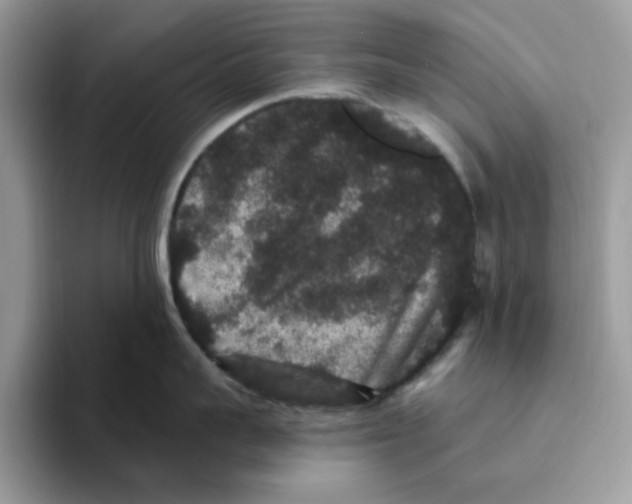 X0000093450959200711091510