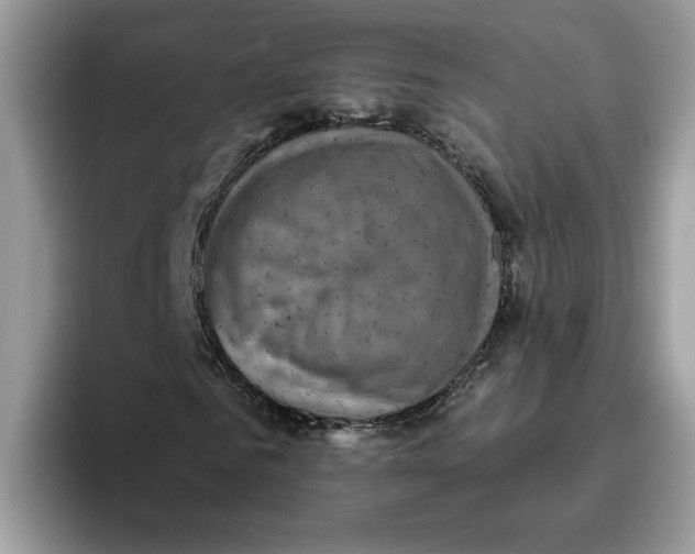 X0000093450961200711091509