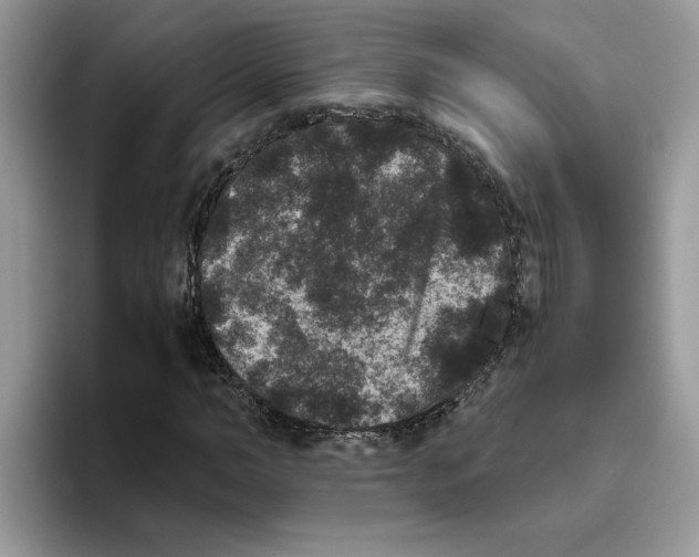 X0000093450966200711091509