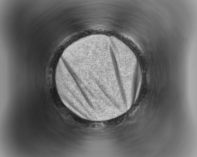 X0000093450968200711091509