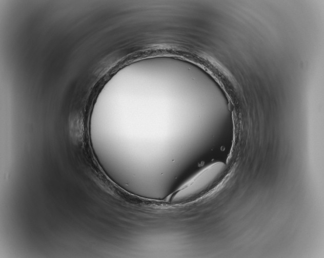 X0000093450969200711091509