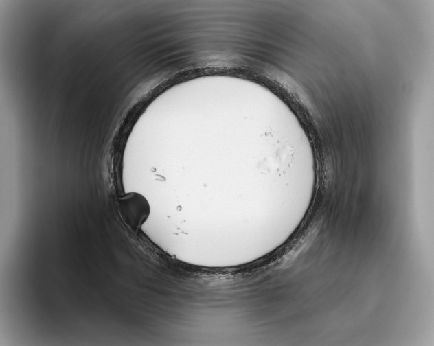 X0000093450970200711091509