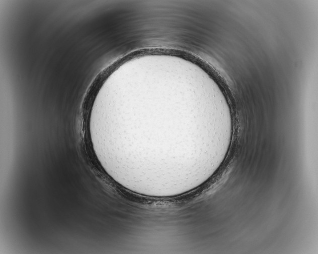 X0000093450974200711091509