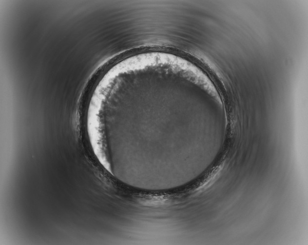 X0000093450975200711091509