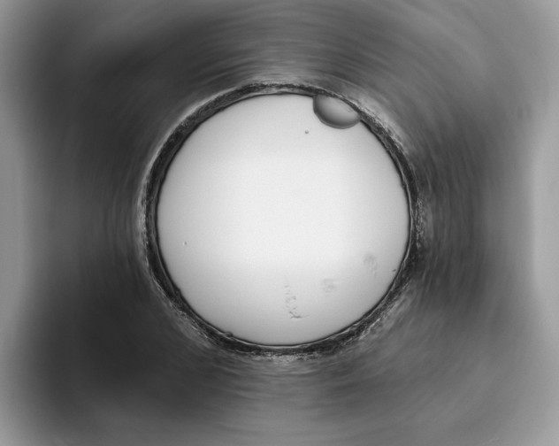 X0000093450976200711091509