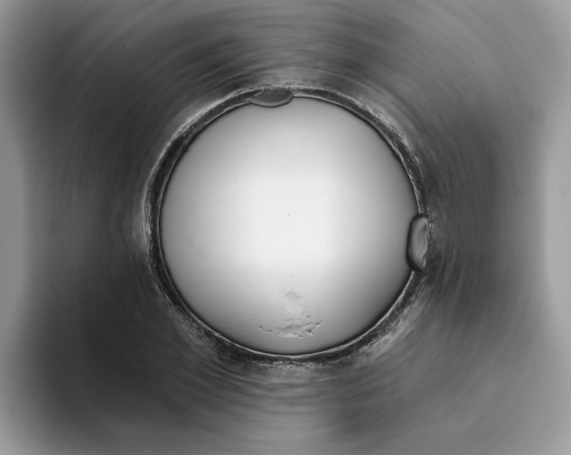 X0000093450981200711091509