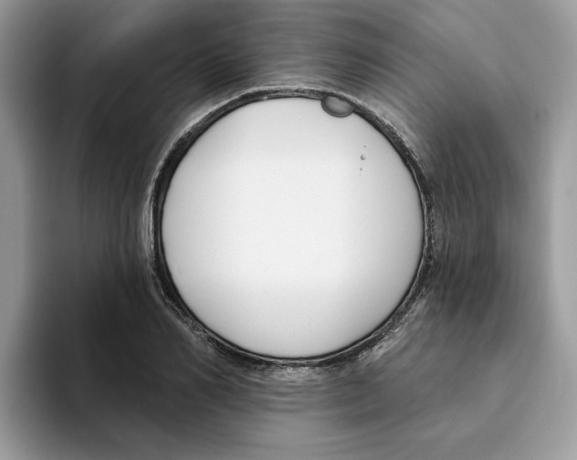 X0000093450982200711091509