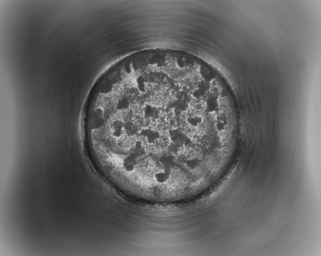 X0000093450983200711091509