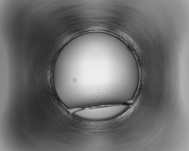 X0000093450985200711091509