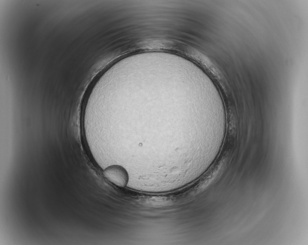 X0000093450986200711091509