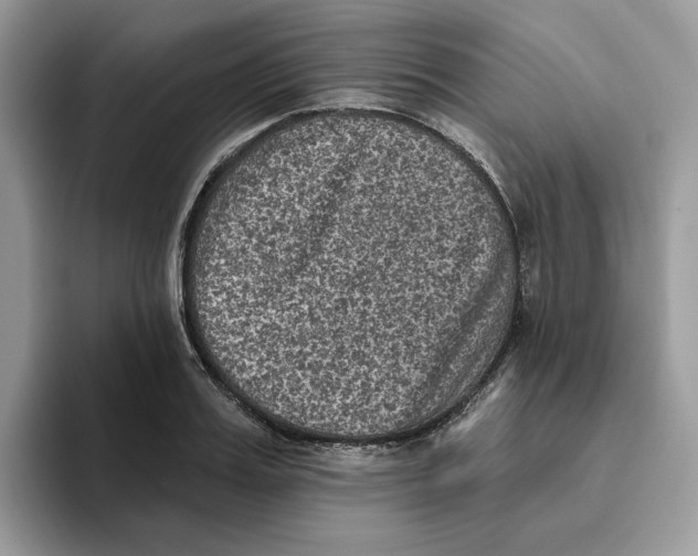 X0000093450987200711091509